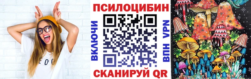 Псилоцибиновые грибы прущие грибы  МЕГА онион  Тырныауз  купить наркотики цена 
