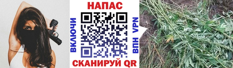 даркнет клад  Тырныауз  Канабис MAZAR  цена наркотик 
